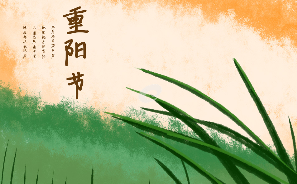重阳节的禁忌是什么