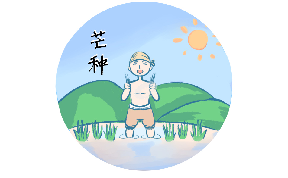 芒种节气的特点和风俗