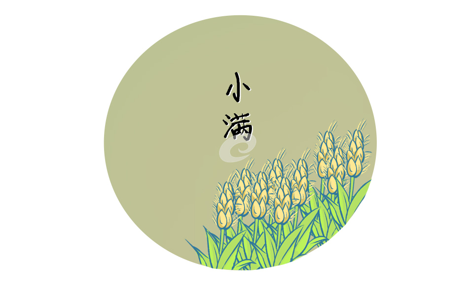 经典小满唯美文案短句