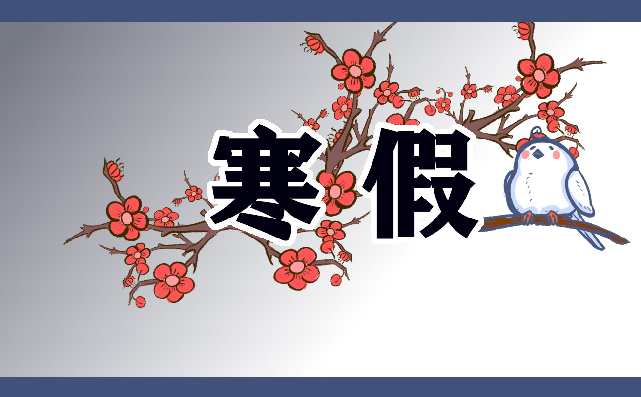 寒假总结与心得体会