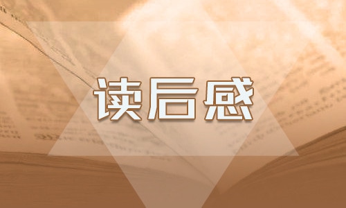 心得读后感300字
