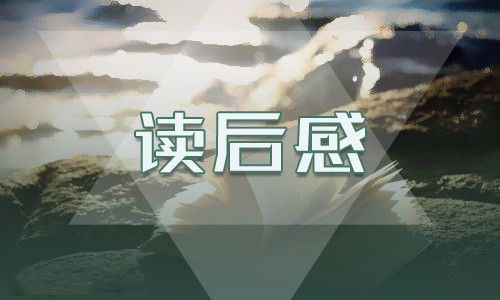 读后感万能心得体会
