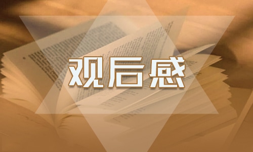 观后心得体会300字