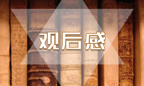 感悟经典观后感心得体会