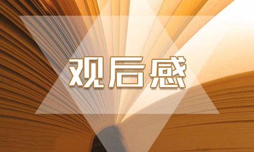 心得观后感350字