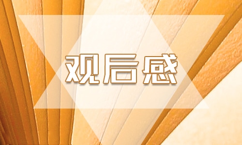 心得体会观后感200字