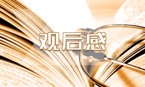 感悟经典观后感心得怎么写