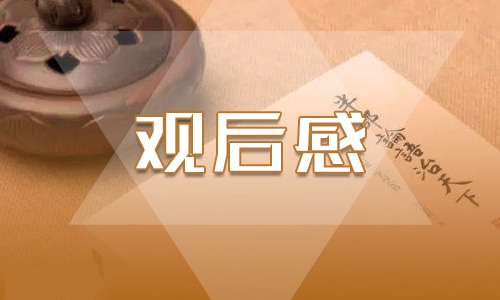 万能观后感心得