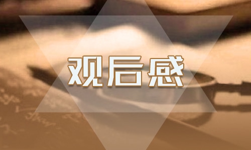 观后感反思心得体会