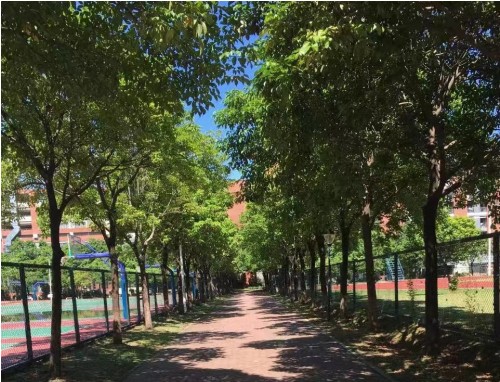 夏天发的朋友圈文案短句