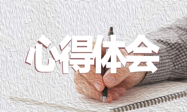 学习雷锋精神心得体会范文
